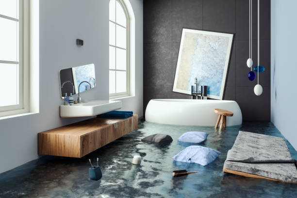 Best Water damage restoration near me  in Dawsonville, GA