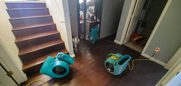 Best Water damage restoration near me  in Dawsonville, GA