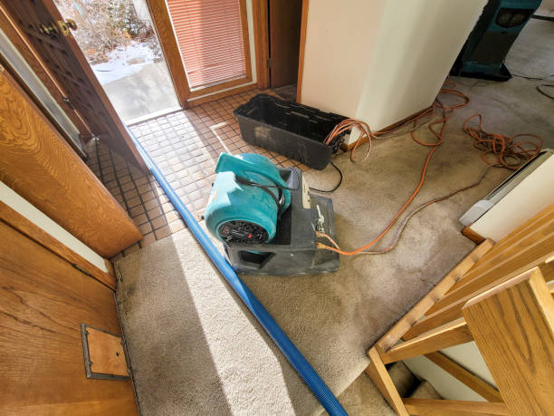 Best Local water damage restoration  in Dawsonville, GA