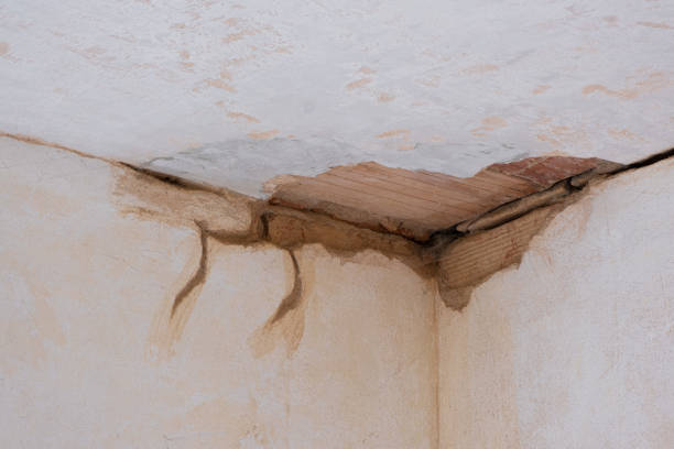 Best Basement water damage restoration  in Dawsonville, GA