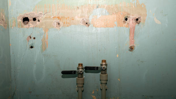 Best Ceiling water damage repair  in Dawsonville, GA