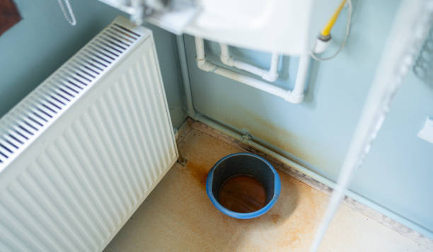 Best Professional water damage repair  in Dawsonville, GA