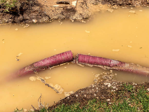 Best Water damage restoration cost  in Dawsonville, GA