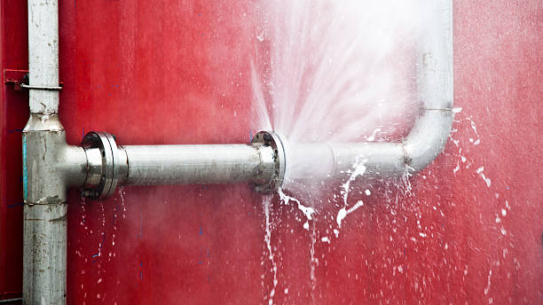 Best Basement water damage restoration  in Dawsonville, GA